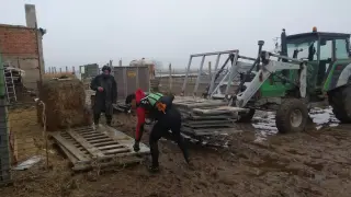 Los bomberos de la DPZ ayudan a un ganadero en una granja de Novillas