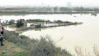 La reciente crecida del río Ebro alcanzó los 2.100 m3/s, lo que obligó a activar el nivel rojo del nuevo plan municipal de emergencias.