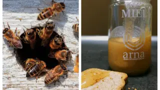 Si bien el principal producto de las abejas es la miel, en Arna Apícola también se dedican a la cera.