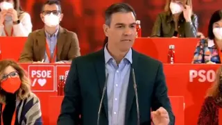Pedro Sánchez, durante su intervención en el Comité Federal del PSOE