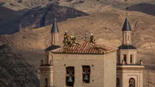 Los bomberos se encaramaron a lo alto de San Pedro de los Francos para retirar los nidos.
