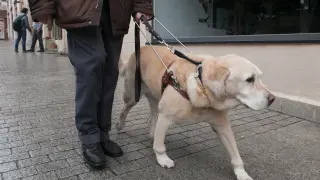 Un perro guía acompaña a un invidente por las calles de una ciudad aragonesa.