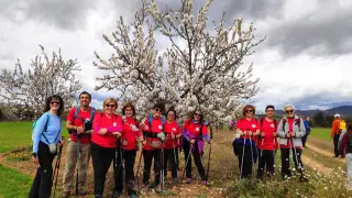 Imagen de la última edición celebrada de la Caminata en la Flor del Almendro, a principios de marzo de 2020.