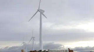 Endesa renovables
