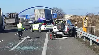 Un conductor de 85 años perdió la vida el 1 de febrero de 2021 en Zaragoza al bajarse de su coche y ser atropellado por un camión.
