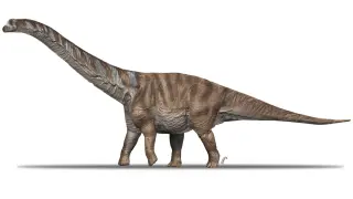 Recreación del aspecto en vida de Abditosaurus kuehnei