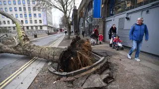 Efectos de la tormenta 'Eunice' en Londres, considerada como la peor registrada en décadas en el noroeste de Europa.