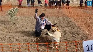 II Concurso Nacional de perros truferos Sierra de Moncayo