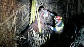 Rescate de un caballo en Alcañiz.