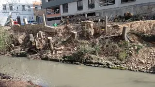 Tala de árboles en la ribera del río Huerva (Zaragoza)