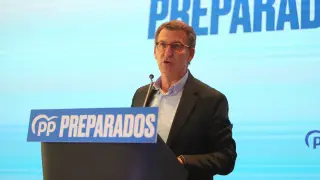 El presidente de la Xunta de Galicia y precandidato a la presidencia del PP nacional, Alberto Núñez Feijóo.