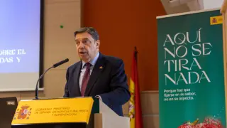 El ministro de Agricultura, Pesca y Alimentación, Luís Planas.