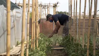 Un hombre trabaja la tierra para plantar hortalizas en Huertos del Ebro.