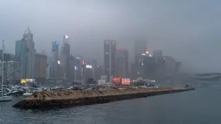 Waterfront shrouded in fog