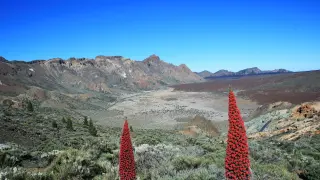 Parque nacional del Teide.