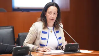 La diputada del PP Mamen Susín, ha defendido este lunes la propuesta de rebaja fiscal ante la comisión de Hacienda de las Cortes.