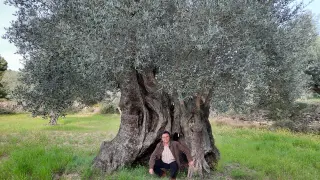 Jorge Cervera, propietario de la Olivera de Cervera, posa junto al ejemplar milenario catalogado como árbol singular de Aragón.