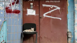 Un gato descansa sobre una silla en la puerta de un edificio de Mariupol marcado con la Z rusa.
