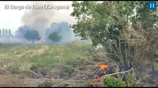 Las chispas de un tren causan varios incendios entre El Burgo de Ebro y Zaragoza