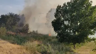 El incendio ha comenzado en una chopera cercana al río Cinca