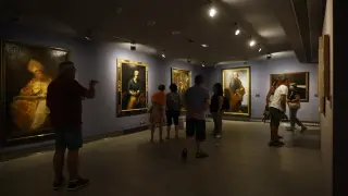 Visitas guiadas al Museo Goya (16)