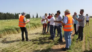 La actividad ha tenido lugar en una finca de más de siete hectáreas situada en las inmediaciones de Sariñena.