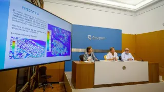 Los datos del informe se presentaron este jueves en el Ayuntamiento de Zaragoza