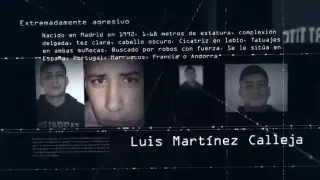 En la lista de los más buscados se han incluido prófugos con diferentes perfiles delictivos,  algunos de ellos en busca y captura desde hace más de 15 años, y que podrían ocultarse en nuestro España.