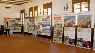 Exposición 'Los yacimientos paleontológicos BIC de la provincia de Teruel' en el Ayuntamiento de Galve.