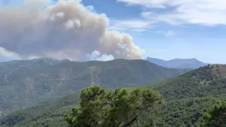 Sierra Bermeja, en Málaga, vuelve a quemarse.