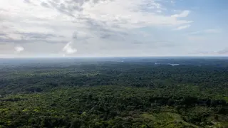 Vista aérea de la selva amazónica en una zona fronteriza entre Brasil y Colombia.