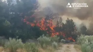 Los bomberos de la DPZ tratan de sofocar el incendio de Nonaspe