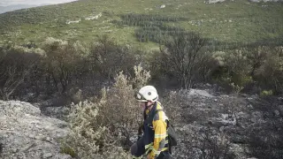 Un bombero de Navarra, en el incendio que estos días ha afectado a la sierra de Leyre.