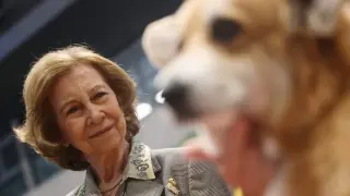 La reina Sofía inaugura la 'World Dog Show', el mayor evento canino del mundo.