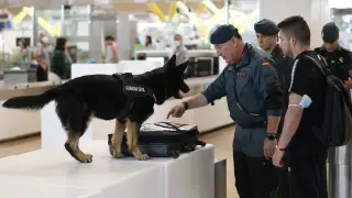 Dispositivo de seguridad de la Guardia Civil en el aeropuerto Adolfo Suárez Madrid Barajas con motivo de Cumbre de la OTAN