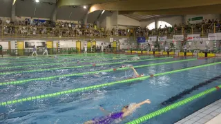 Trofeo Ibercaja CIudad de Zaragoza natación