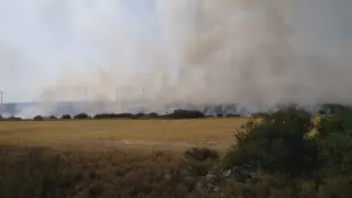 Imagen del incendio en el polígono La Muela Sur.