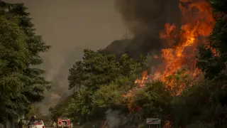 Incendio forestal en Orense