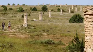 El camino de los pilones que va de Allepuz a Villarroya de los Pinares tiene 113 columnas a lo largo de seis kilómetros