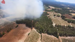 Incendio forestal en Requena (Valencia), este miércoles.