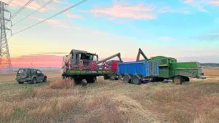 Últimos días de cosecha, la semana pasada, en una explotación de la localidad turolense de Bañón.