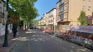 La calle San Vicente de Paul de Teruel, salpicada de carteles y pancartas contra la tala de los plátanos.