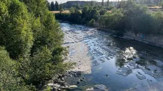 Una imagen del río Aragón este viernes.