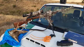 Sorprendido en Soria un cazador con un trofeo de corzo macho obtenido sin visado.