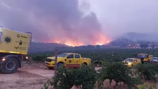 Cien efectivos trabajan en la exintición del incendio en La Patoja (Jumilla)