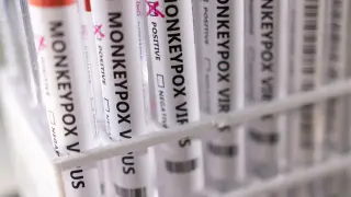 FILE PHOTO: Illustration shows test tubes labelled "Monkeypox virus positive\
