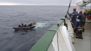 Pescador asaltado por Geenpeace: "Ha sido un acto de piratería"