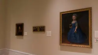 Captura de la visita virtual al Museo Meadows