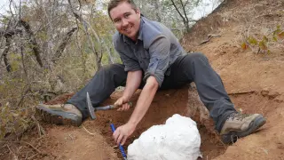 Descubren en Zimbabue el dinosaurio más antiguo de África.
