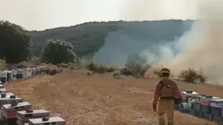 Un bombero inspecciona el estado de una explotación apícola amenaza por el incendio del Moncayo.